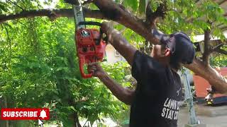 ESITHLL ATK 687 first start amp Cuttingautomobile stihl chainsawstihl chainsaws chainsawstihl [upl. by Sordnaxela]