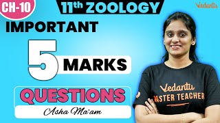 11th Zoology  Chapter 10  Important 5 Mark Questions  2nd Mid Term  Asha Maam [upl. by Idden]