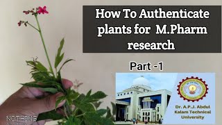 Plant Authentication before research in MPharm thesis work  AKTU pharmacognosy Complete Vlog2 [upl. by Jangro]