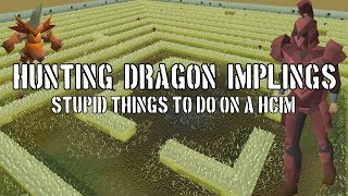 Stupid Things To Do On A HCIM  Dragon Impling Hunting [upl. by Liatnahs]