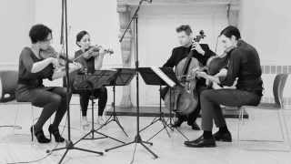 Philip Glass  String Quartet No 3 quotMishimaquot  VI [upl. by Doownil17]