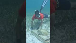 Rare view of under ocean🌊🌊🤣 funny viralvideo youtubeshorts underwaterworld [upl. by Rudolph]