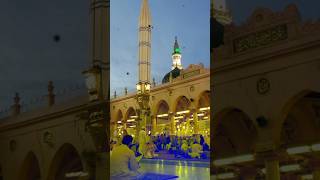 Eid milad un Nabi naat 2024 main to Aashiq hun Nabi shortvideo 12visharifstatus eidmiladunnabi [upl. by Rosenstein11]