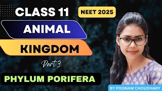 Animal kingdom L3  Phylum Porifera  class 11 biology Neet 2025  Poonam Choudhary [upl. by Amasa]