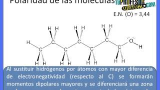 Polaridad de las moléculas orgánicas  Lección Teórica [upl. by Abell]