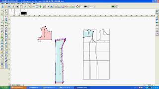 Richpeace Software operations video on paper pattern scaling [upl. by Nylecoj]