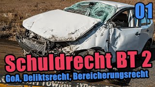 Schuldrecht BT 2 Deliktsrecht Bereicherungsrecht GoA  Einführung [upl. by Frick]