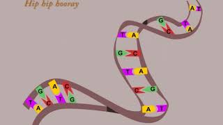 DNA Song by Peter Weatherall [upl. by An]