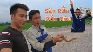 Săn Rắn Đầu Mùa  Rắn Xào Xả Ớt và Cháo Rắn Đậu Xanh [upl. by Scoter]