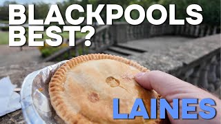 Blackpools BEST pies Lainés Bakery the seagulls found me [upl. by Lesirg394]