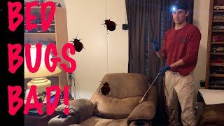 Gross Bed Bug Infestation and Treatment [upl. by Tamiko]