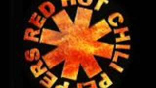 red hot chili peppers califonication lyrics [upl. by Tybalt]