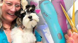 Miniature Schnauzer a Perfect Haircut Unleash Your Dog Grooming Skills Grooming with Love ❤️ [upl. by Licko]