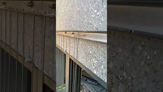 Balcony window guardrail installation process [upl. by Yerfej]