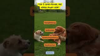 Top 5 Spielzeuge die jeder Hund liebt hunde bellofon [upl. by Emera503]