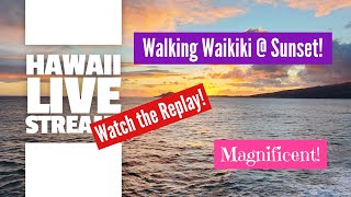 Hawaii Live Stream Walking Waikiki at Sunset travel hawaii waikiki [upl. by Lipski]