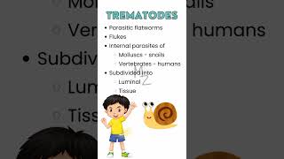 What are trematodes parasitology trendingshorts flatworm medzukhruf microbiology [upl. by Stevenson474]