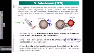 Interferon cancer [upl. by Ahsinad793]