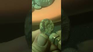 Pyrite Ammonite [upl. by Hareema]