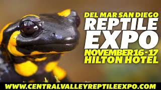 Del Mar Reptile Expo November 16th amp 17th at the Del Mar Hilton Hotel [upl. by Hanid]