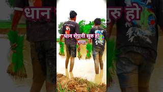 video Na Kare Jaib Ropaniyasamarsingh bhojpuri bhojpuri song dance youtubeshorts [upl. by Rema]