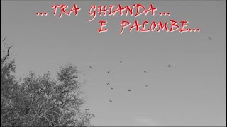 Tra ghianda e palombe [upl. by Divadleahcim]