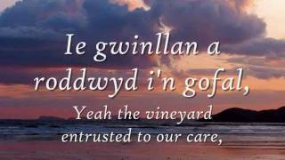 Gwinllan a Roddwyd  Dafydd Iwan geiriau  lyrics [upl. by Adnohs]