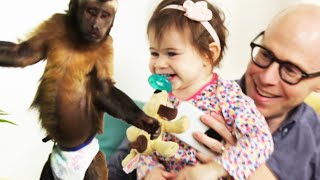 Father Surprises Daughter With A Monkey [upl. by Emili]