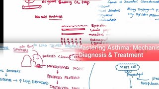 Chronic obstructive pulmonary disease  Chronic Bronchitis Emphysema Asthma Bronchiectasis [upl. by Lyman799]