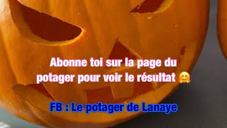 TUTO découpe du potiron Halloween [upl. by Gorrian]