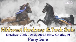 Pony Sale  Midwest Hackney amp Tack Sale 2023 [upl. by Elissa]