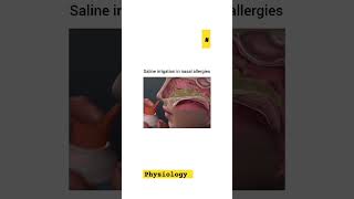 saline irrigation in nasal allergies physiology  medicalcareofhowkents vlog shorts [upl. by Elocal]