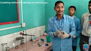 Labpreparation of ammonia gas chemistry practical workscienceNVEBS [upl. by Annamaria]