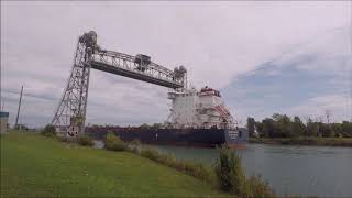 Bulk Carrier Ship ALGOMA EQUINOX on the Welland Canal by Glendale Bridge [upl. by Nerval]