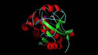 Cathepsin S [upl. by Zeba]