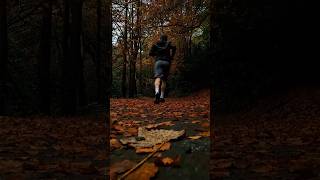 Autumn at Clare Glen Northern Ireland autumn trail running discoverni [upl. by Louisette240]