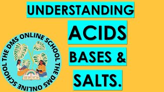 Summarized lesson on acids bases and salts [upl. by Anirual]