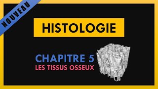 Histologie  Chapitre 5  Les tissus osseux [upl. by Stempson]