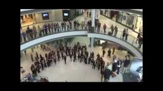 An unforgettable flash mob sings [upl. by Heidy835]