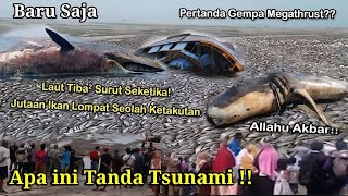 GEMPAR AIR LAUT TIBATIBA SURUT DAN JUTAAN IKAN MUNCUL HEBOHKAN WARGA INDONESIA Pertanda Apa ini [upl. by Remas320]