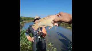 Top Fishing video 🐠 unbelievabl fishing  greatest Fishing video of all time 13 [upl. by Nelehyram]