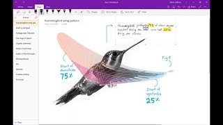 How to Become a Microsoft Onenote Expert  Detailed Tutorial Onenote [upl. by Olonam]