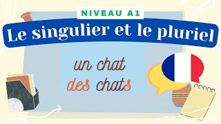 Le singulier et le pluriel  Leçon de français Niveau A1  Cours de grammaire [upl. by Nodnal]