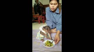 Kind mother cook food for baby eat Very yummy imonkey babyanimal babymonky babymonkey [upl. by Joiner]