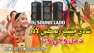 New Meshup Dance Sehro 2024  Wedding Song  Sindhi Lado Dj  Syed Dilbar Ali  Mumtaz Molai [upl. by Rbma]