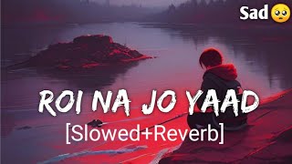 Roi Na Jo Yaad Meri Aayi SlowedReverb Sad lofi  New Sad Songs  Sad Song  Hindi Sad Song [upl. by Annirtak]