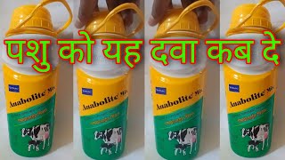 पशु को एनाबोलाइट कब दे anabolite mix ka keya kam hay anabolite ke phayde kya haye anabolite kab de [upl. by Aehtorod]