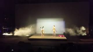 Sia breaks down crying during quotTitaniumquot Orlando tribute [upl. by Nnaeilsel]