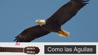 20 Como las Aguilas Con Acordes [upl. by Soraya]