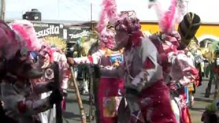 Carnaval De Nativitas Tlaxcala  Turcos Rosas  Domingo 28  Febrero 2010 [upl. by Francklin]